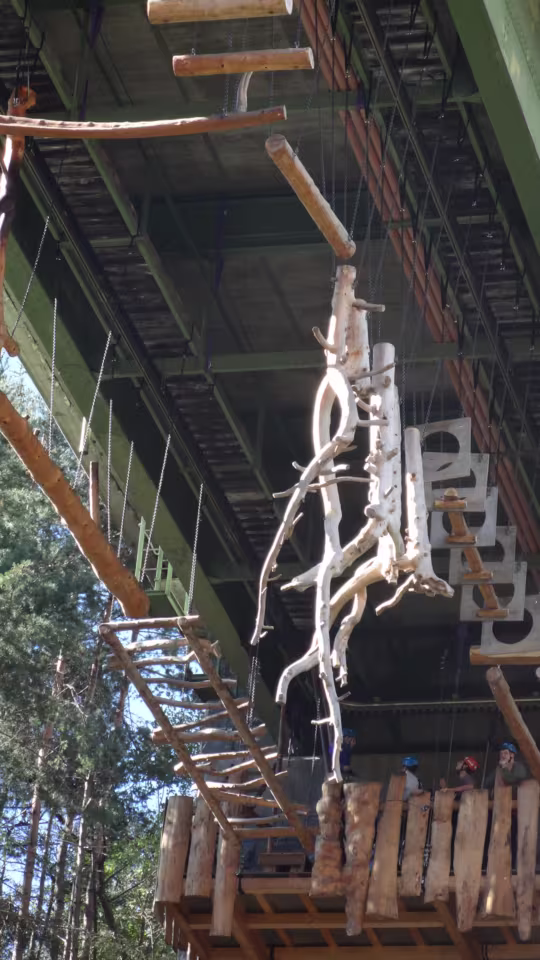 Area 47: The Ultimate Outdoor Playground