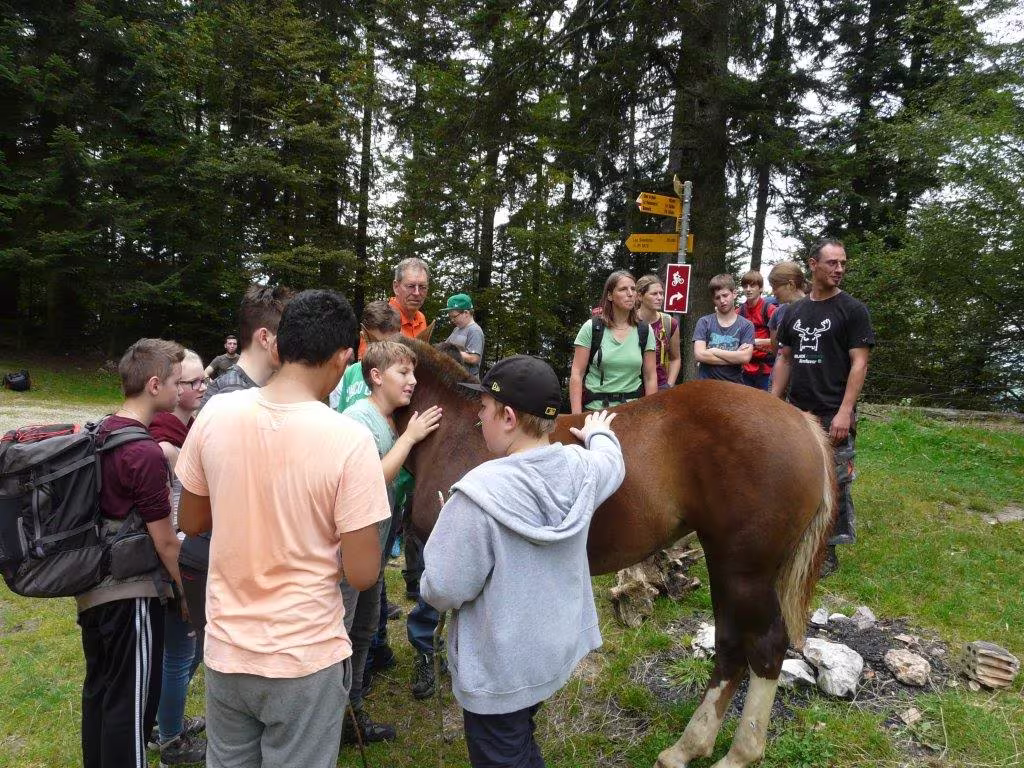 Fahrt der 7. und 8. Klasse an den Doubs