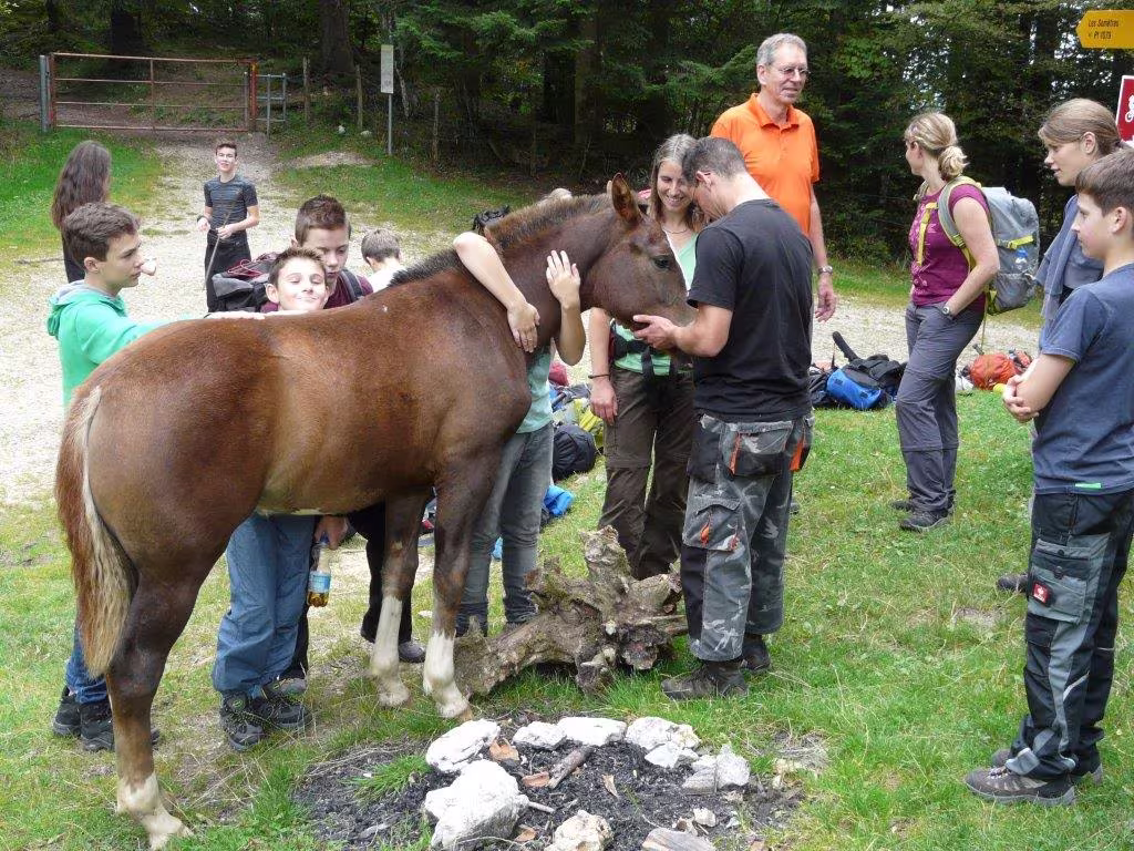 Fahrt der 7. und 8. Klasse an den Doubs