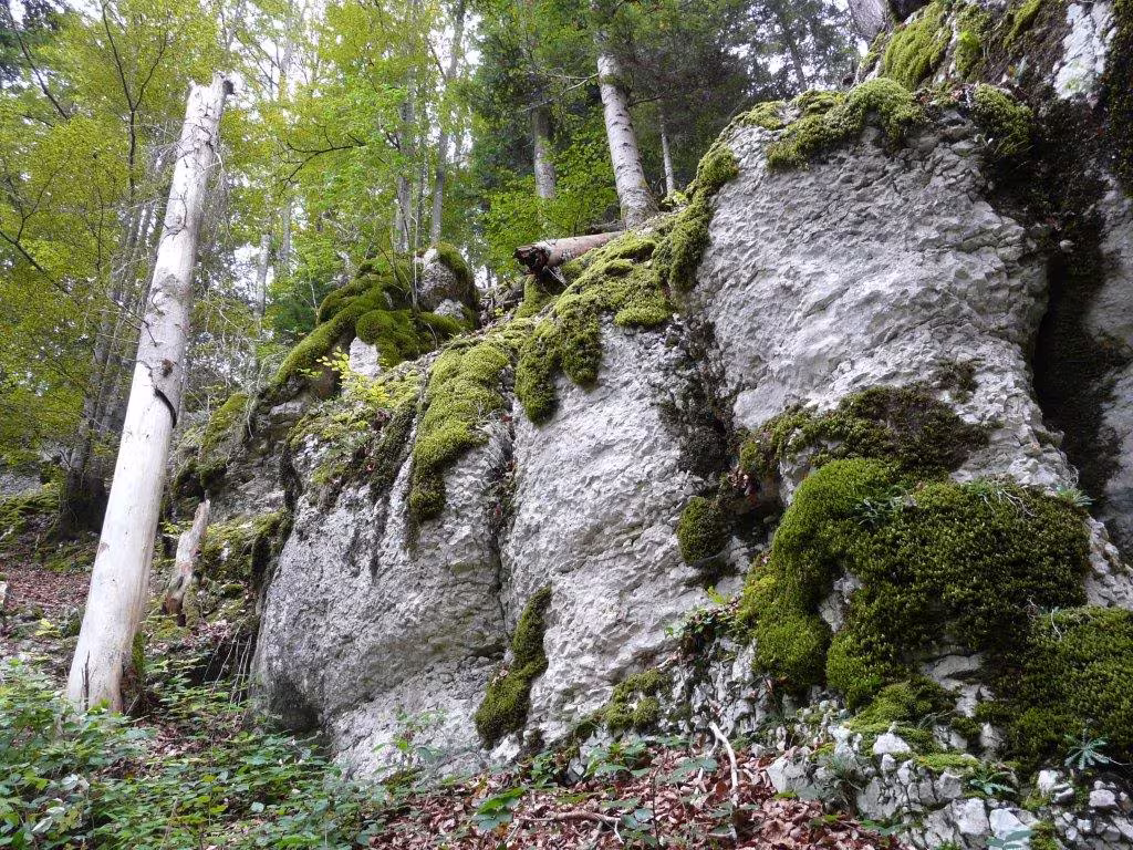 Fahrt der 7. und 8. Klasse an den Doubs