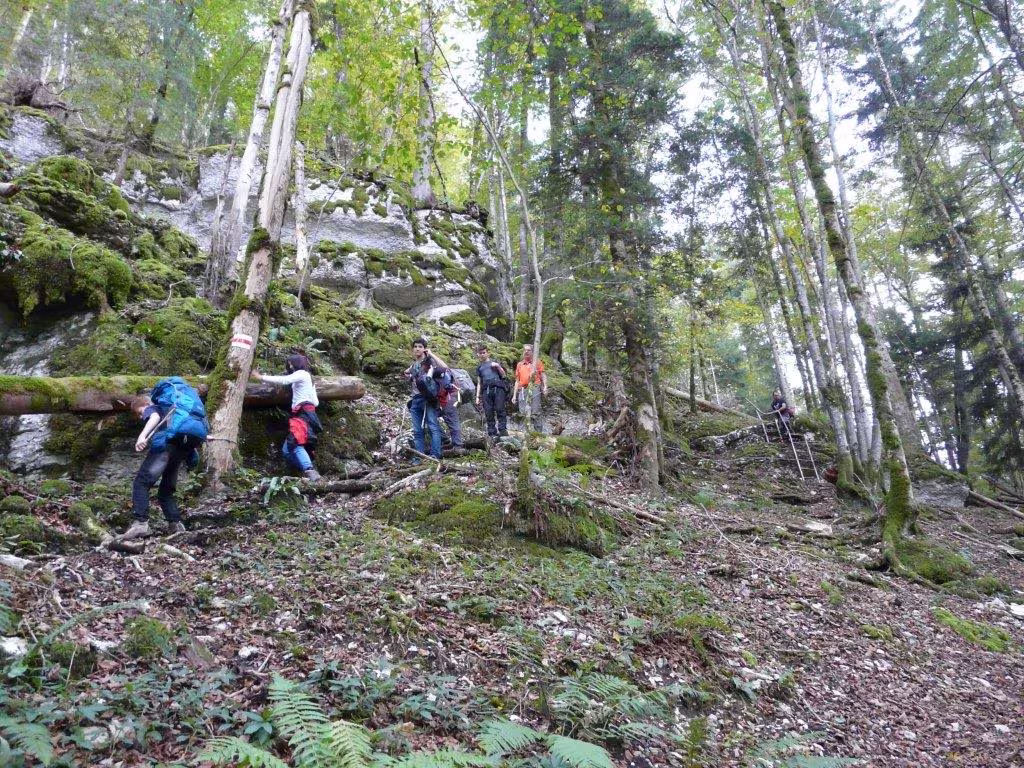 Fahrt der 7. und 8. Klasse an den Doubs