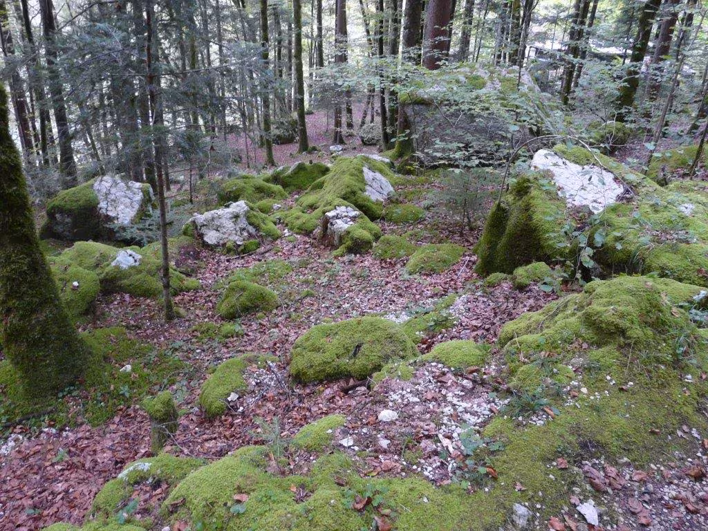 Fahrt der 7. und 8. Klasse an den Doubs