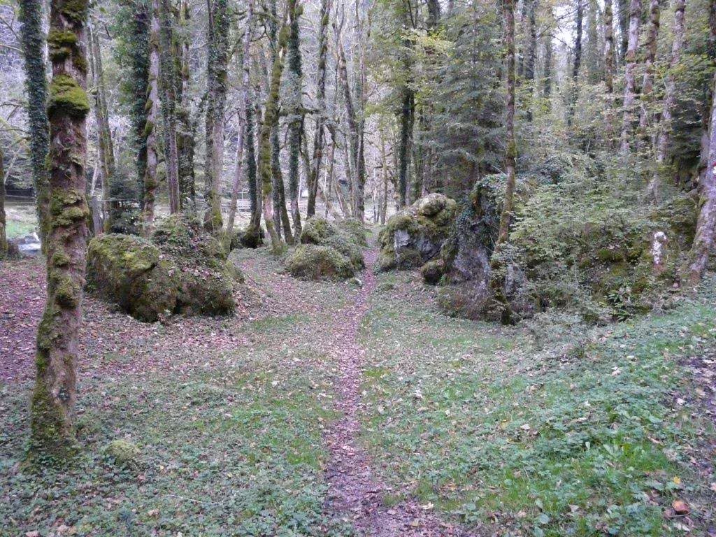 Fahrt der 7. und 8. Klasse an den Doubs