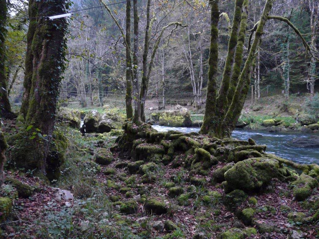 Fahrt der 7. und 8. Klasse an den Doubs