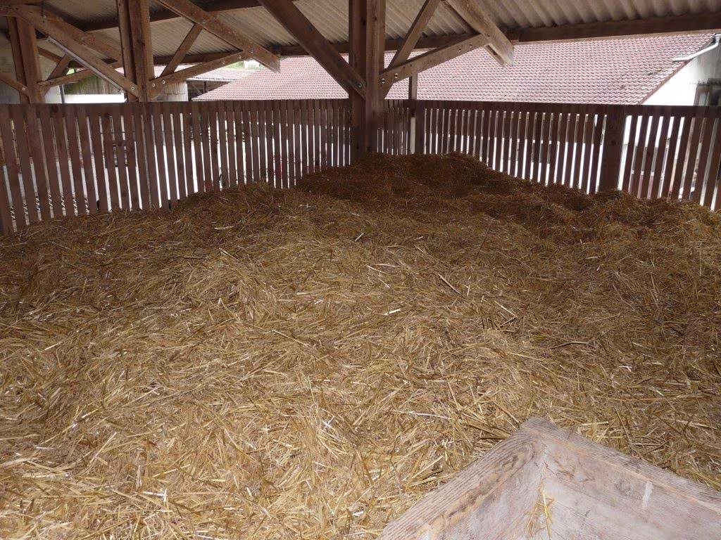 Fahrt der 7. und 8. Klasse an den Doubs