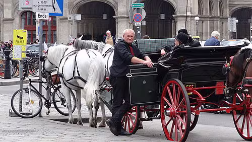 Hofburg, UNO, Prater, Schnitzel