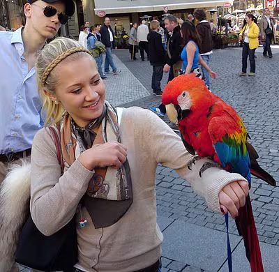 Klassenfahrt nach Prag – Oktober 2012