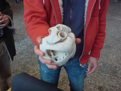 Krebsforschung heute: neue Wege und neue Einsichten