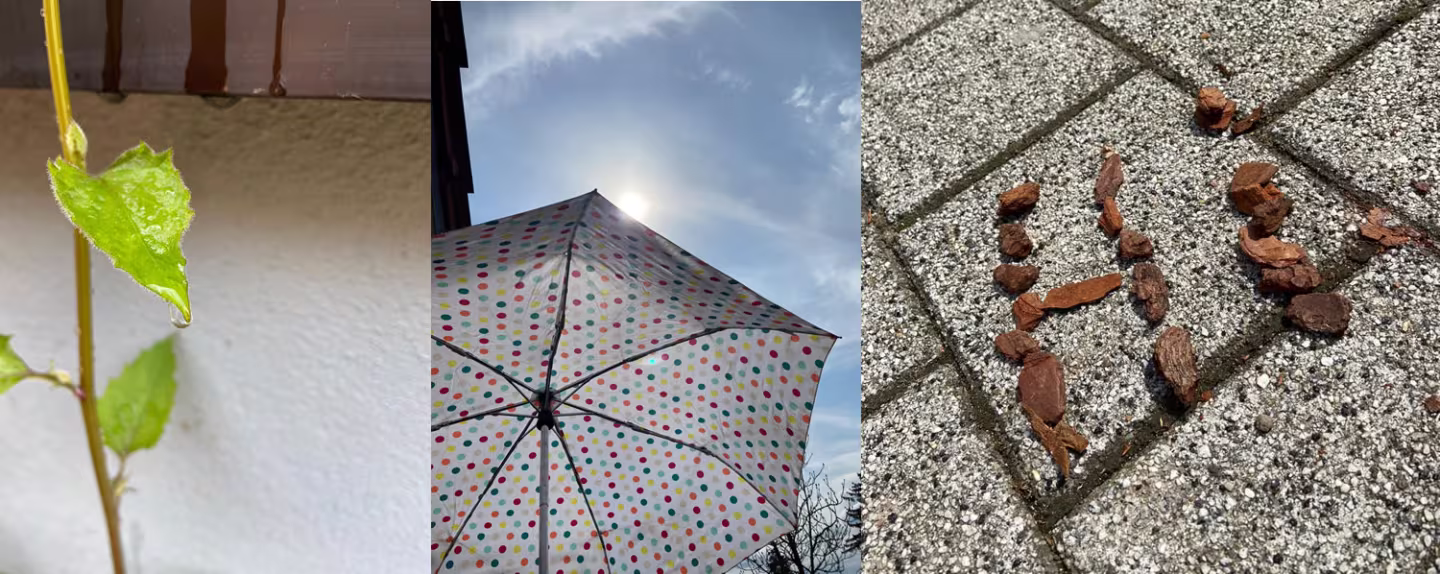 Handy-Fotorallye zu Kunst, Turnen, Wassertropfen, Regenschirmen und Seifen