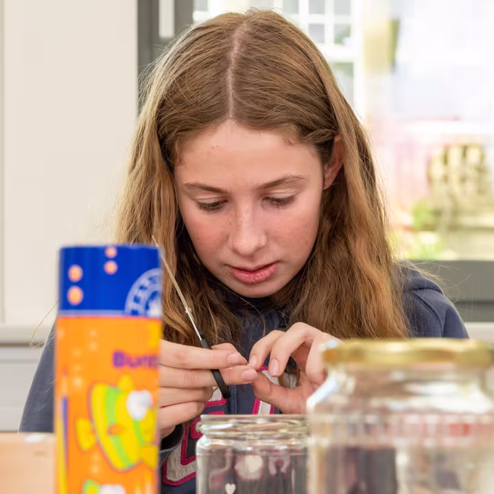 Projekt mit Handarbeit