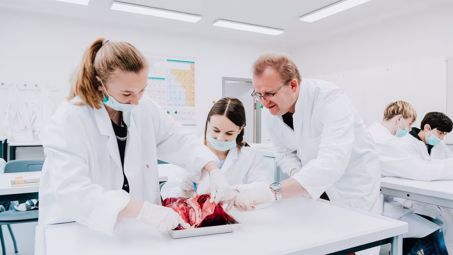 MINT freundliche Schule