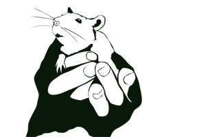 Theater am Kurpfalz-Internat