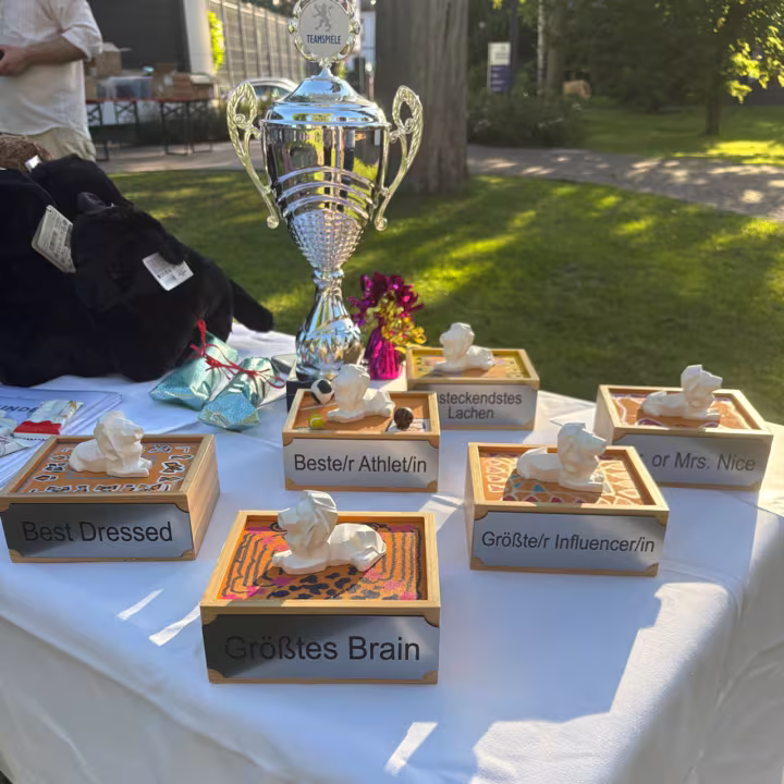 Pokale in der Summer School